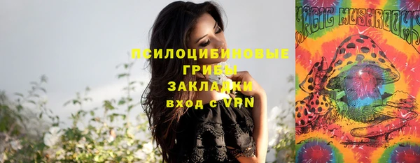 молекула духа Усмань