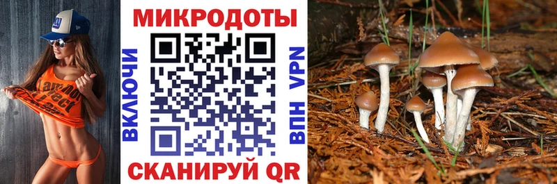 Псилоцибиновые грибы Cubensis  MEGA   Александровск-Сахалинский 